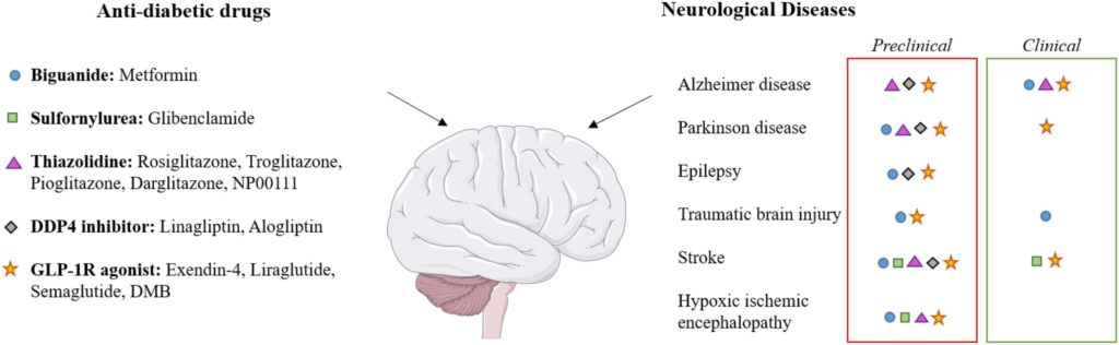 Effects of diabetes drugs on various neurological diseases.