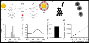 Synthesis and characterisation of AuMS