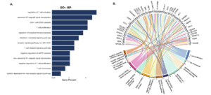NF-κB and ERK pathways are downregulated by UC-MSCs