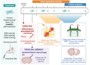 In-vivo screening protocol